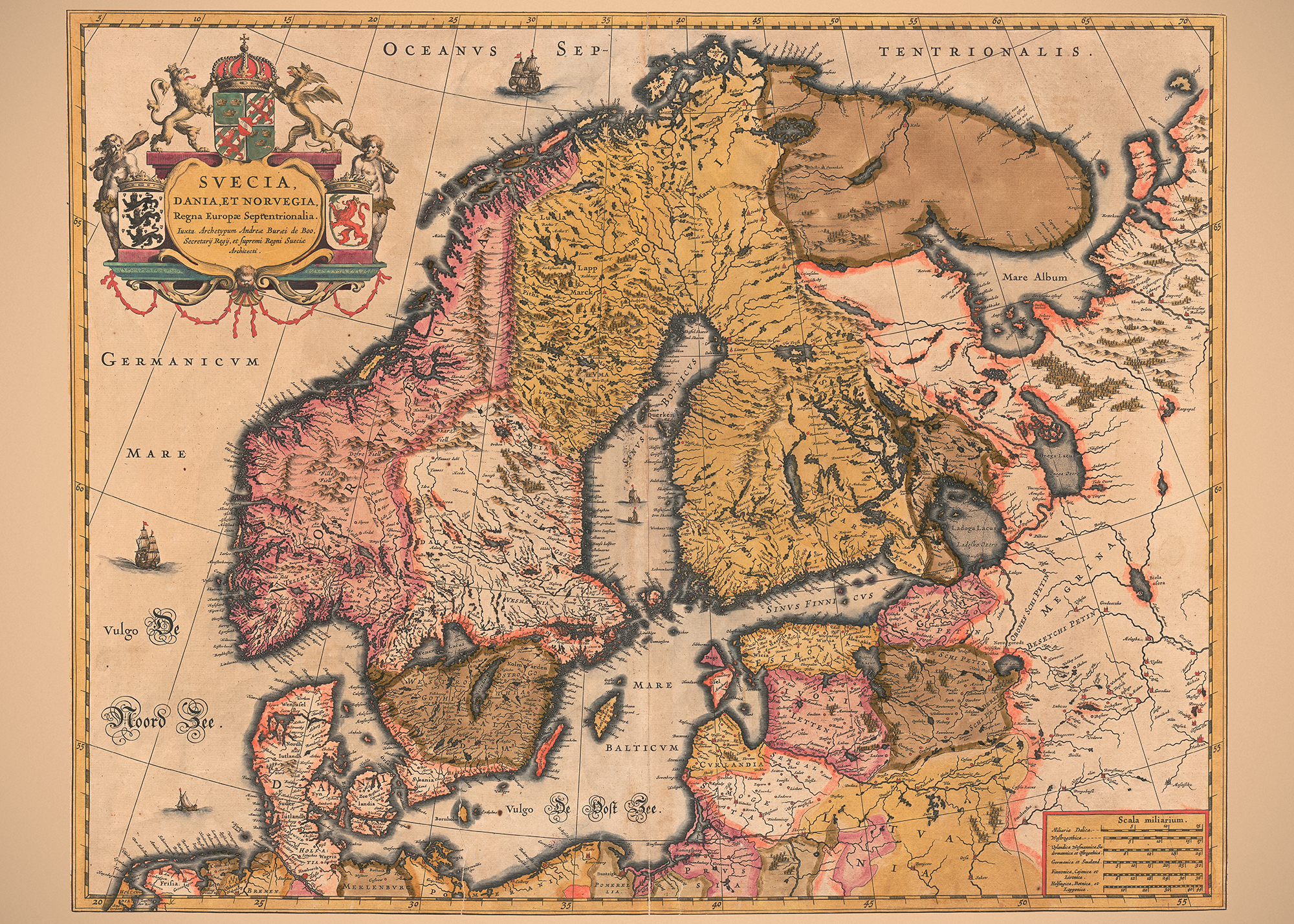 Norra Europa 1630-talet - Släktled